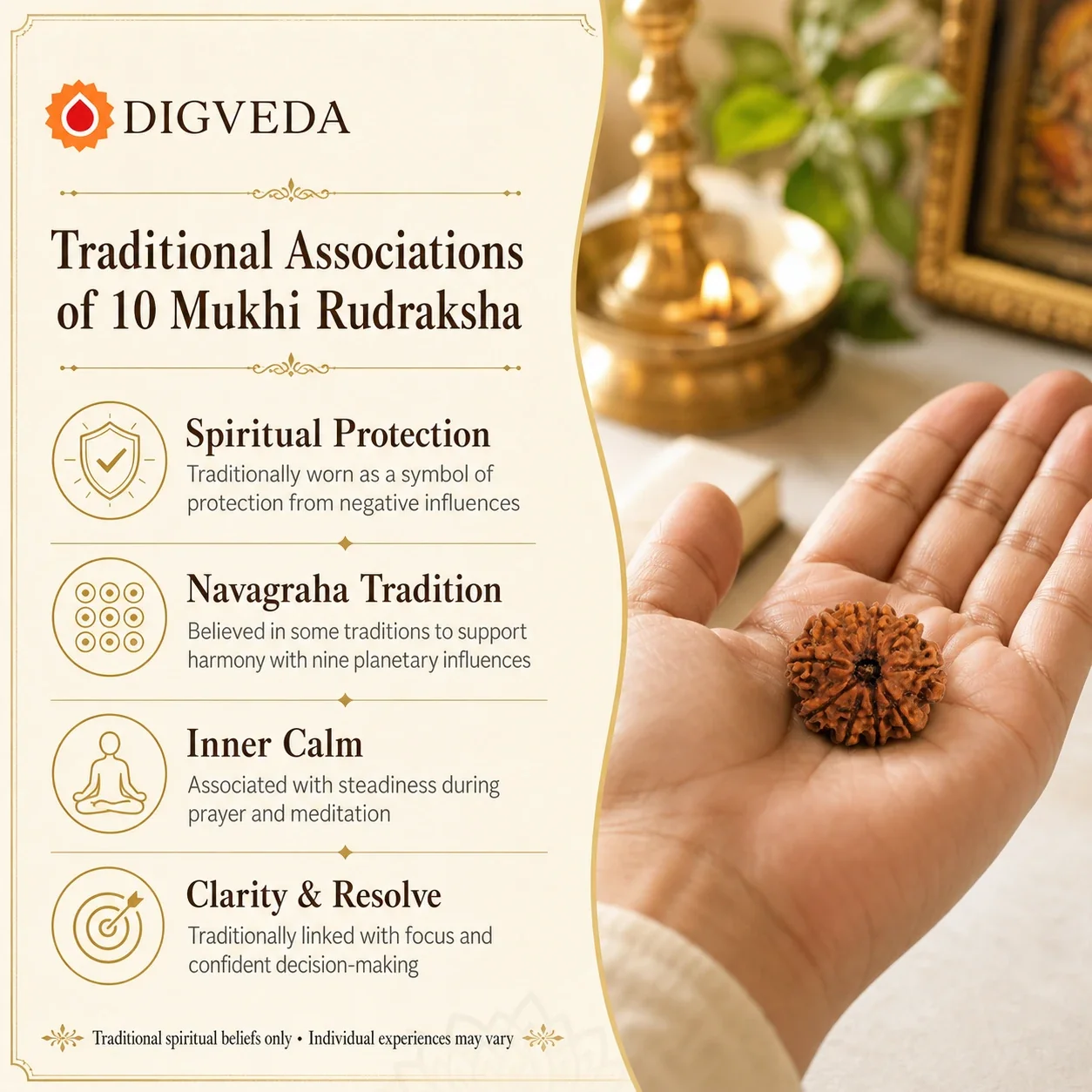 10 Mukhi Rudraksha — buy online at Digveda