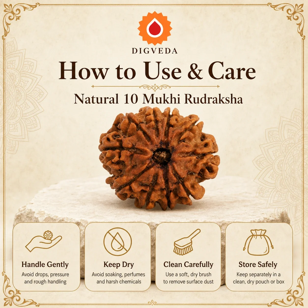 10 Mukhi Rudraksha — buy online at Digveda