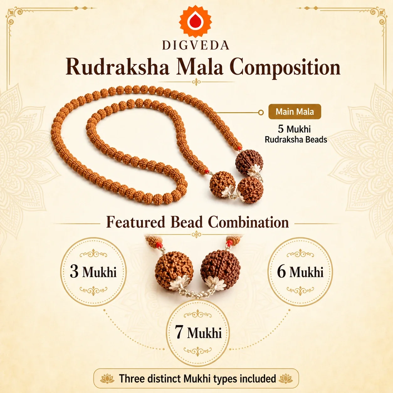 Natural 5 Mukhi Rudraksha Mala with 3 Mukhi, 6 Mukhi and 7 Mukhi Rudraksha Beads — buy online at Digveda