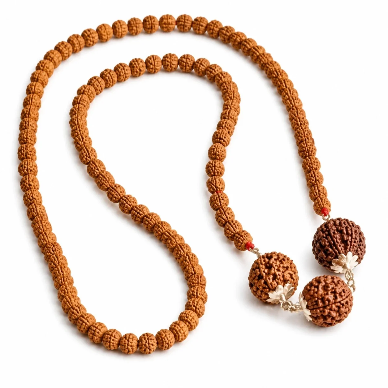 Natural 5 Mukhi Rudraksha Mala with 3 Mukhi, 6 Mukhi and 7 Mukhi Rudraksha Beads — buy online at Digveda