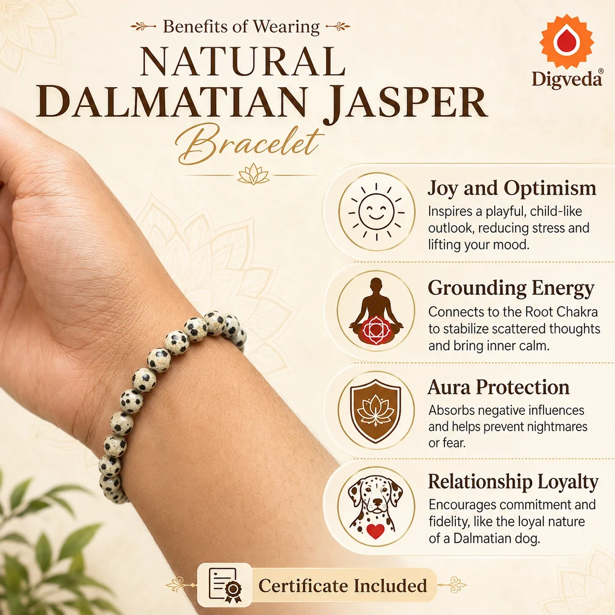 Dalmatian Jasper Bracelet — buy online at Digveda