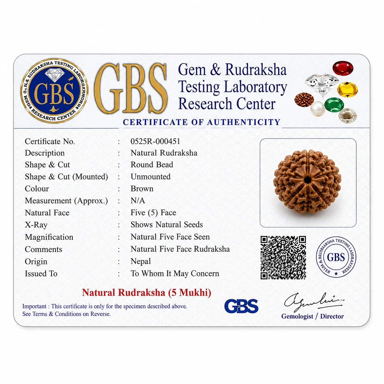 Savan Special - 5 Panch Mukhi Rudraksha Combo — buy online at Digveda