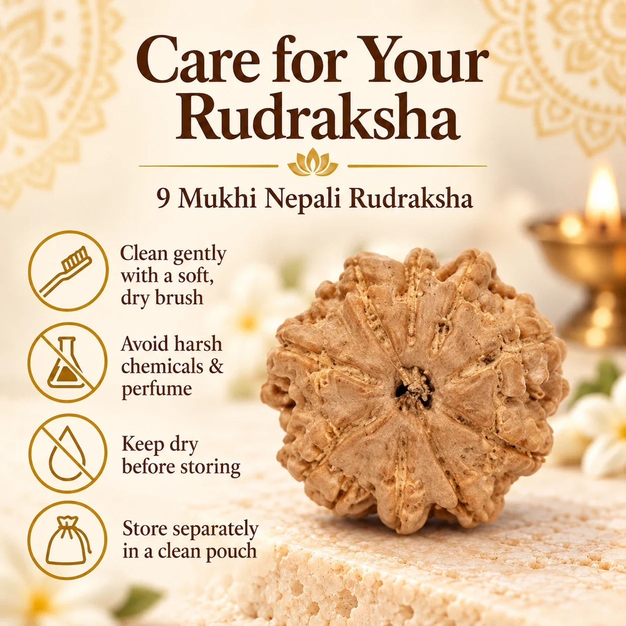 9 Mukhi Nepali Rudraksha — buy online at Digveda