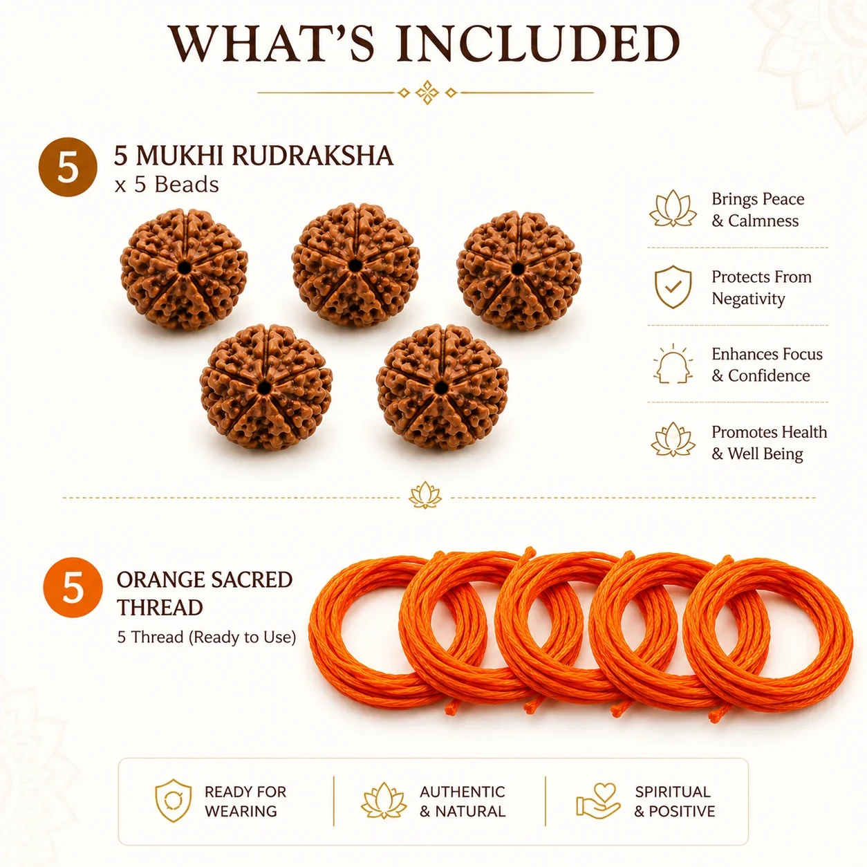 Savan Special - 5 Panch Mukhi Rudraksha Combo — buy online at Digveda