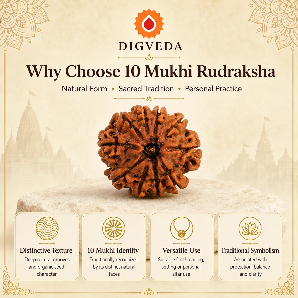 10 Mukhi Rudraksha — buy online at Digveda