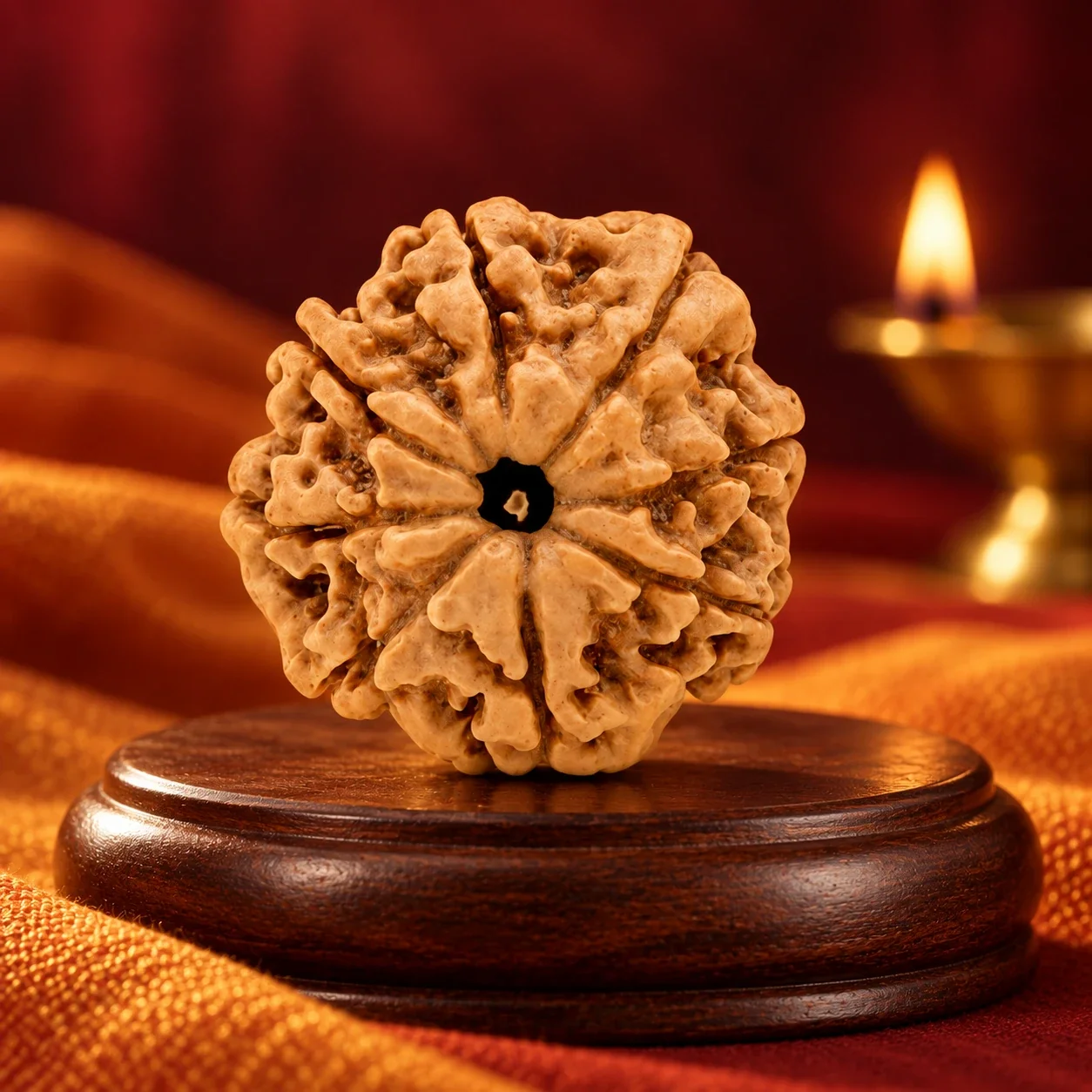 Authentic 8 Mukhi Rudraksha — buy online at Digveda