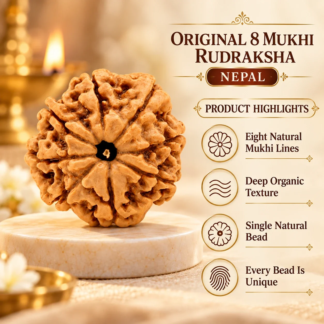 Authentic 8 Mukhi Rudraksha — buy online at Digveda