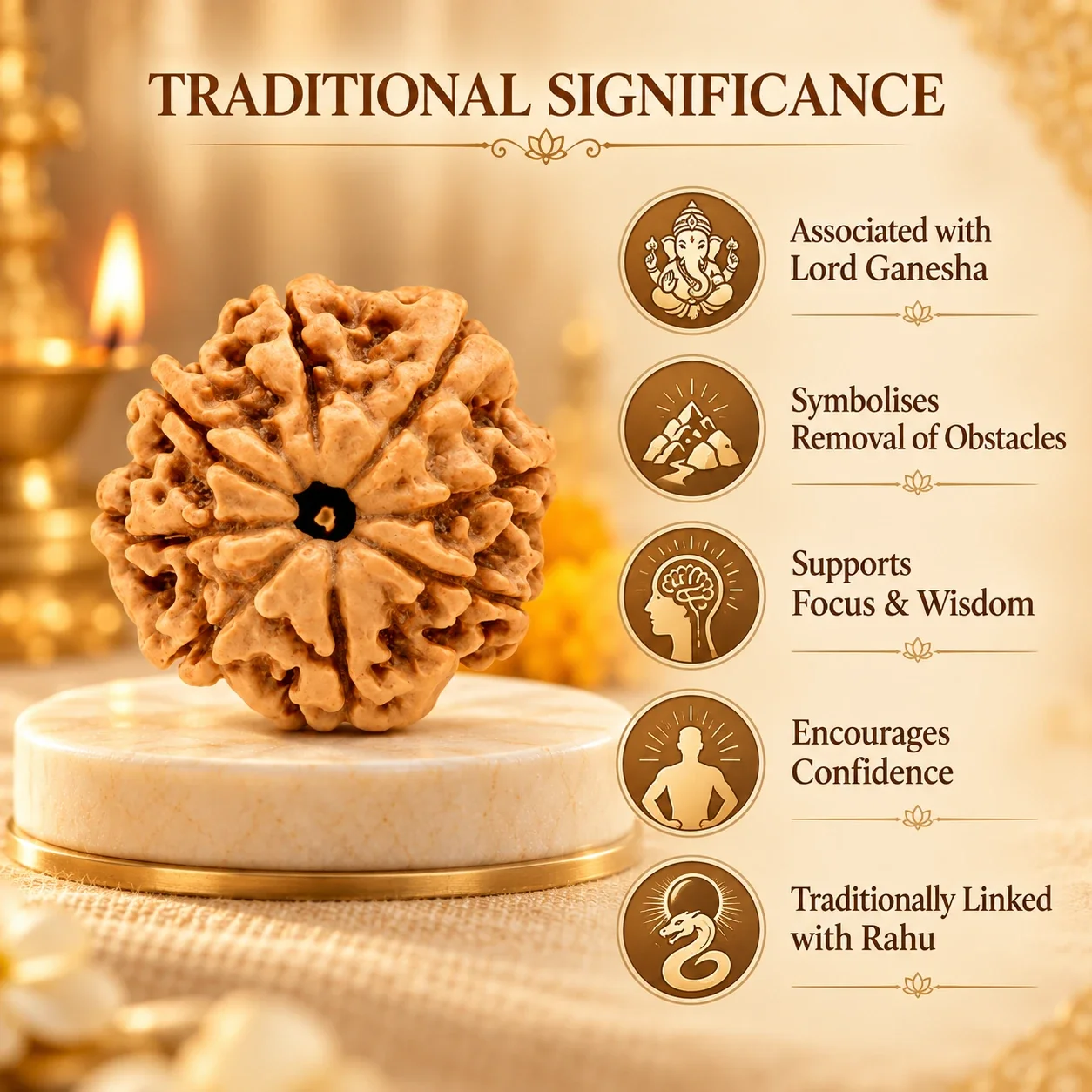 Authentic 8 Mukhi Rudraksha — buy online at Digveda