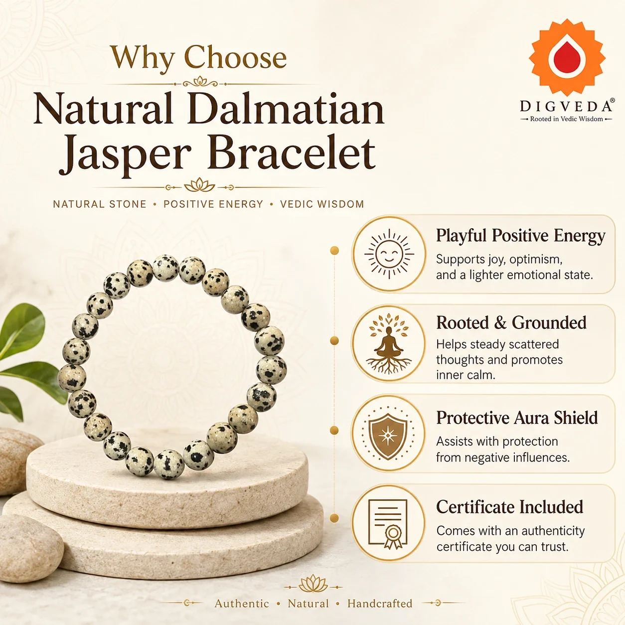 Dalmatian Jasper Bracelet — buy online at Digveda