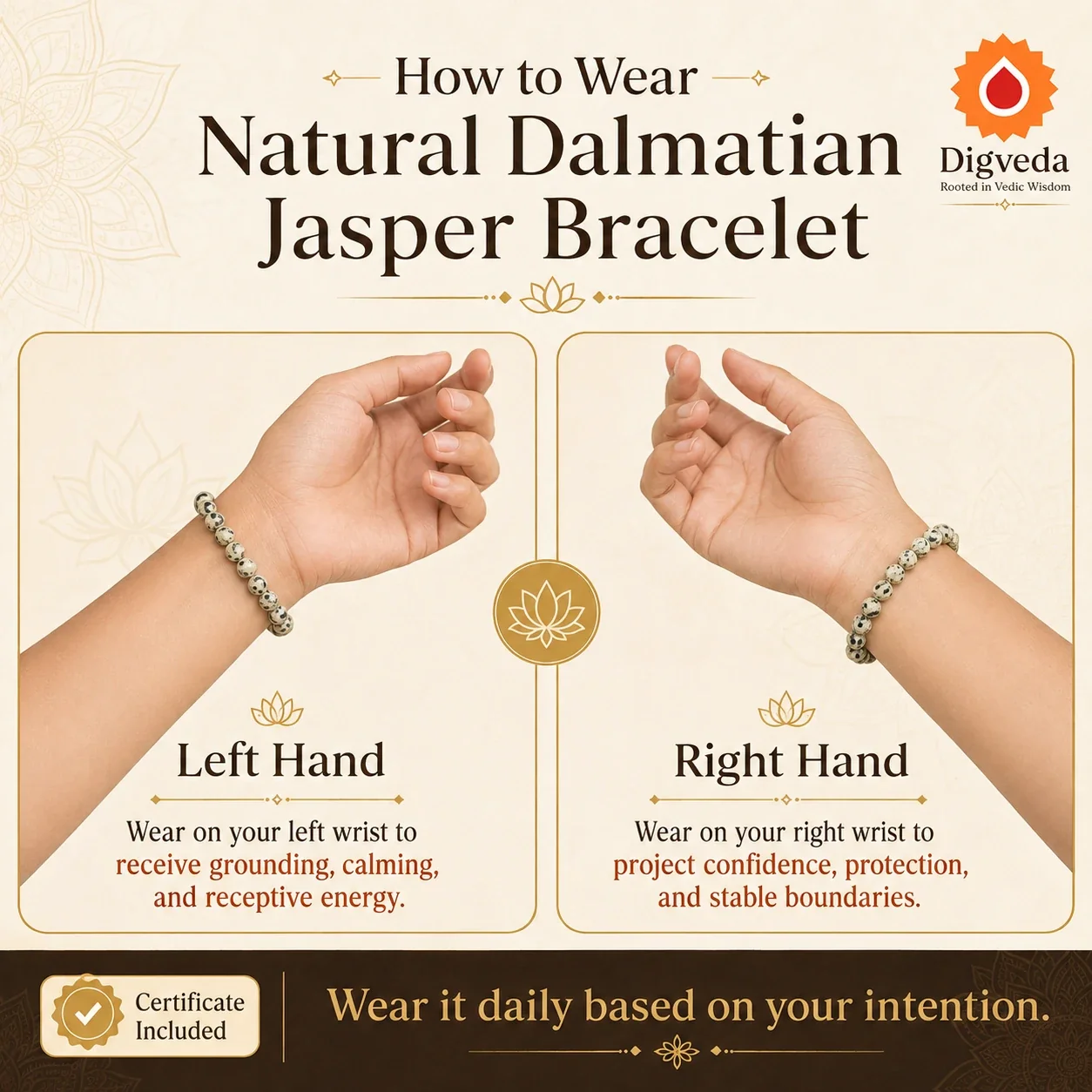 Dalmatian Jasper Bracelet — buy online at Digveda
